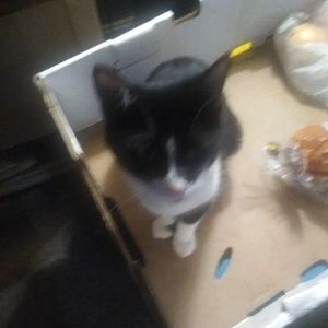 Meet your Posher, Selina